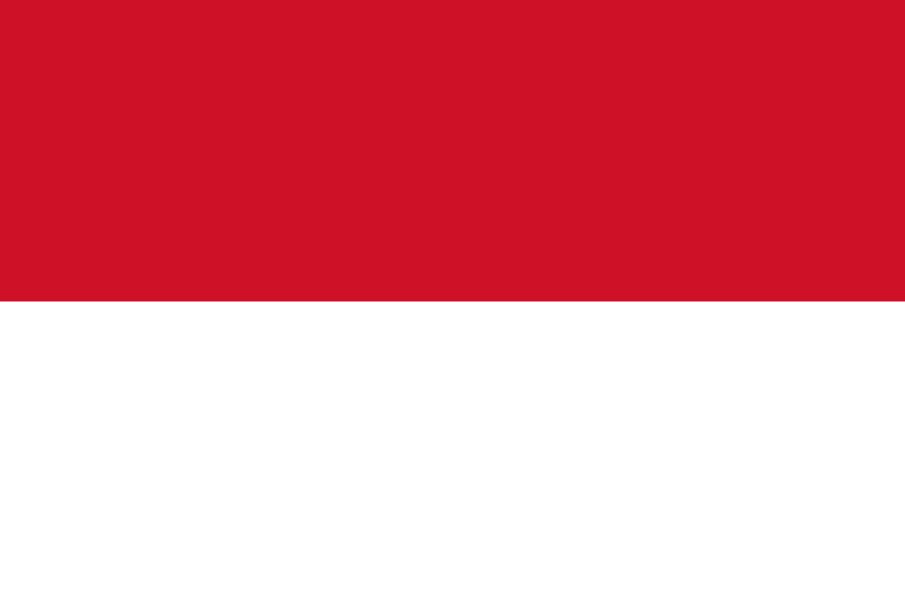 Indonesia Visa Assistance